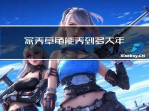 家养草龟能养到多大年龄