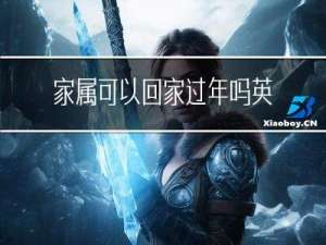 家属可以回家过年吗英文
