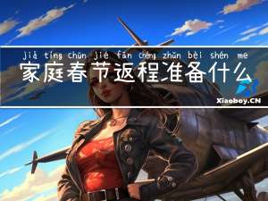 家庭春节返程准备什么