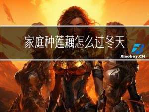 家庭种莲藕怎么过冬天