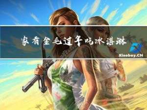家有金毛过年吃冰淇淋吗