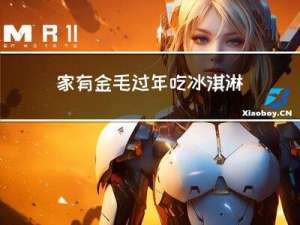 家有金毛过年吃冰淇淋好吗