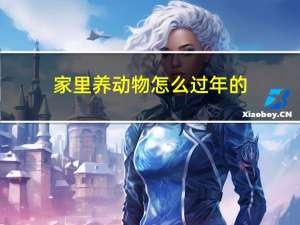 家里养动物怎么过年的