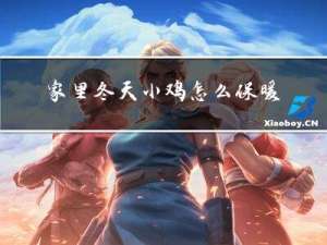 家里冬天小鸡怎么保暖好