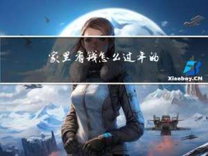 家里有钱怎么过年的