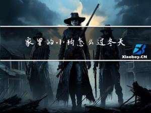 家里的小狗怎么过冬天
