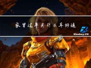 家里过年买什么车好运