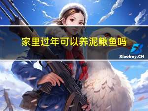 家里过年可以养泥鳅鱼吗