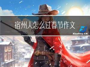 宿州人怎么过春节作文