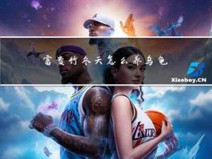 富贵竹冬天怎么养乌龟