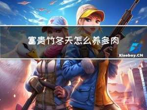 富贵竹冬天怎么养多肉