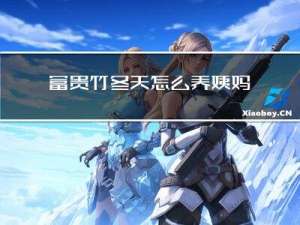 富贵竹冬天怎么养姨妈