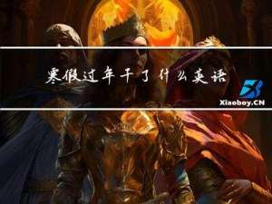 寒假过年干了什么英语作文