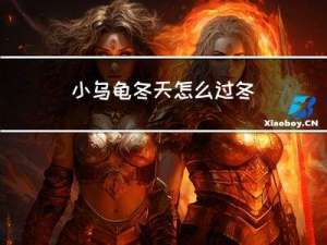 小乌龟冬天怎么过冬