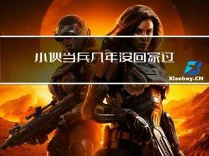 小伙当兵几年没回家过年