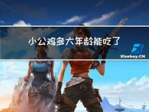 小公鸡多大年龄能吃了