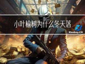 小叶榆树为什么冬天落叶