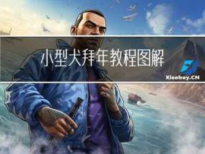 小型犬拜年教程图解
