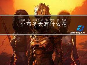 小布冬天有什么花