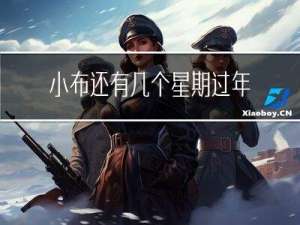 小布还有几个星期过年