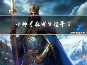 小帅哥在哪里过年了