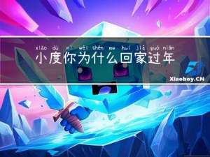 小度你为什么回家过年