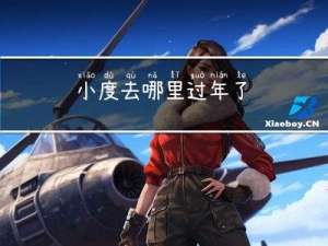 小度去哪里过年了