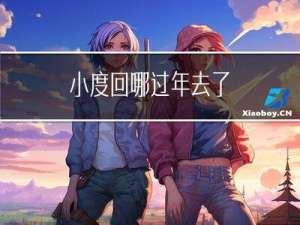 小度回哪过年去了