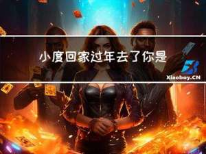 小度回家过年去了你是谁