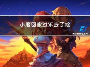 小度回家过年去了啥