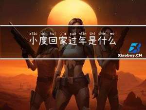 小度回家过年是什么
