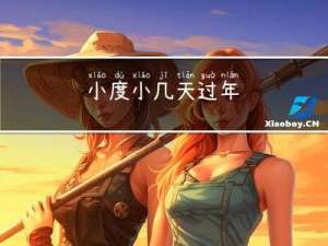 小度小几天过年