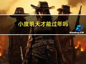 小度明天才能过年吗