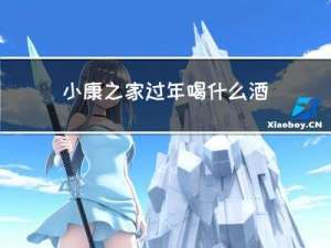 小康之家过年喝什么酒