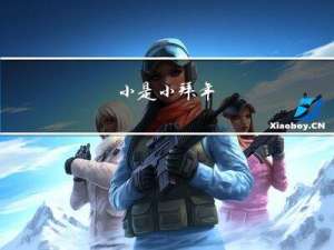 小是小拜年
