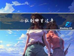 小杜到哪里过年