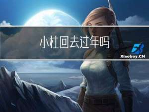小杜回去过年吗