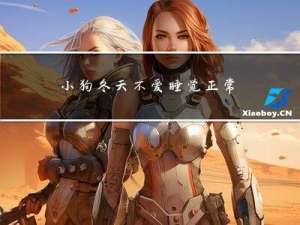 小狗冬天不爱睡觉正常吗