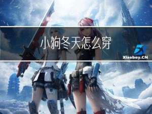 小狗冬天怎么穿