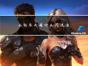 小狗冬天用什么药洗澡
