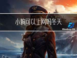 小狗可以上网吗冬天