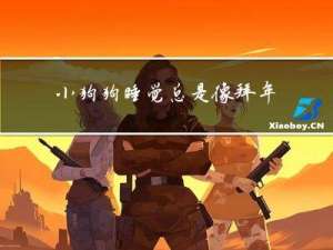 小狗狗睡觉总是像拜年似的