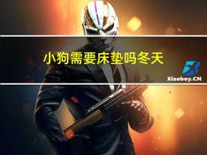 小狗需要床垫吗冬天