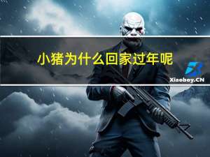 小猪为什么回家过年呢