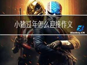 小猪过年怎么迎接作文
