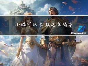 小猫可以长期洗澡吗冬天