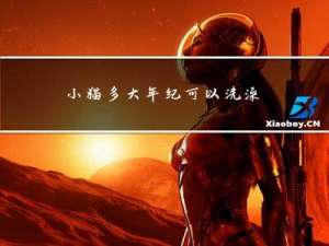 小猫多大年纪可以洗澡洗脸