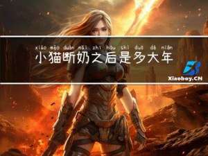 小猫断奶之后是多大年龄