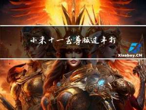 小米十一至尊版过年打折吗
