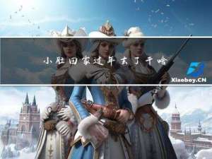 小肚回家过年去了干啥呀